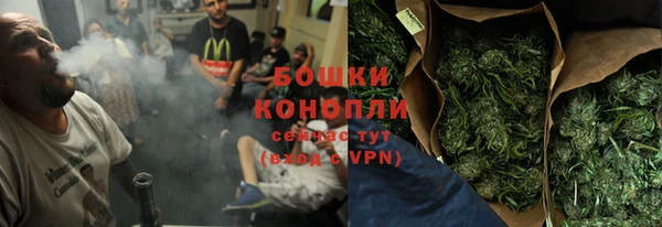 шишки Корсаков