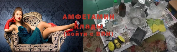 шишки Корсаков