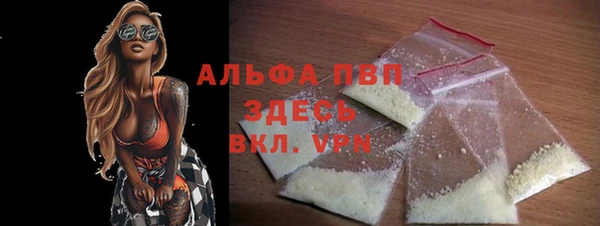 шишки Корсаков