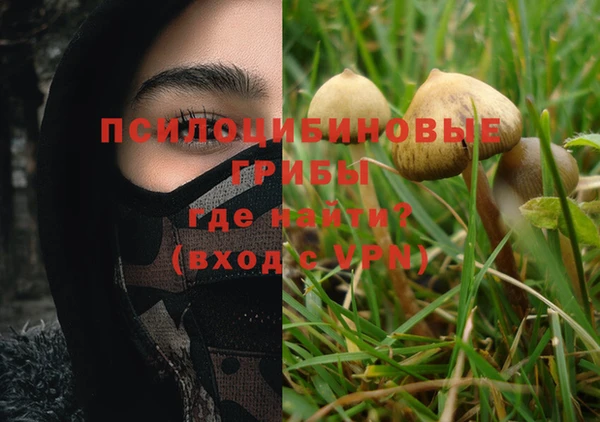 эйфоретик Костерёво