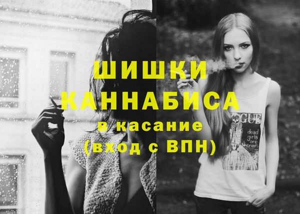шишки Корсаков