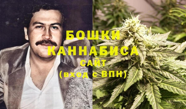 шишки Корсаков