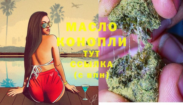 шишки Корсаков