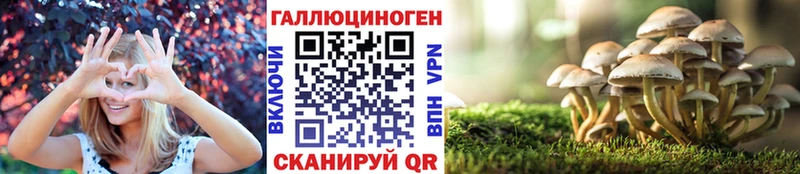 Псилоцибиновые грибы Psilocybe Лениногорск